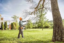 Professional Tree Removal in St James, MN